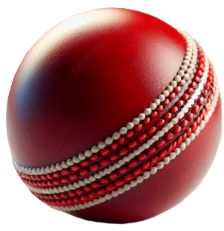 Cricket